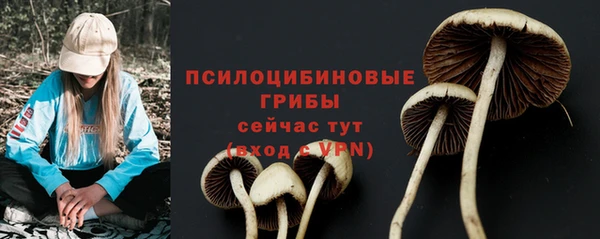 марки lsd Богданович