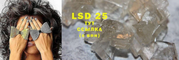 mdpv Богородицк