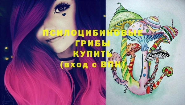 марки lsd Богданович