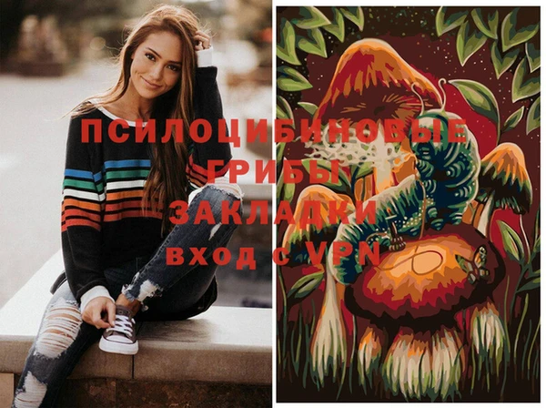метадон Богородск