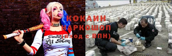 mdpv Богородицк