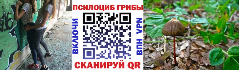 Галлюциногенные грибы Psilocybine cubensis  цены   Грозный 